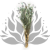 nigella orientalis suszona mietowa cala.png