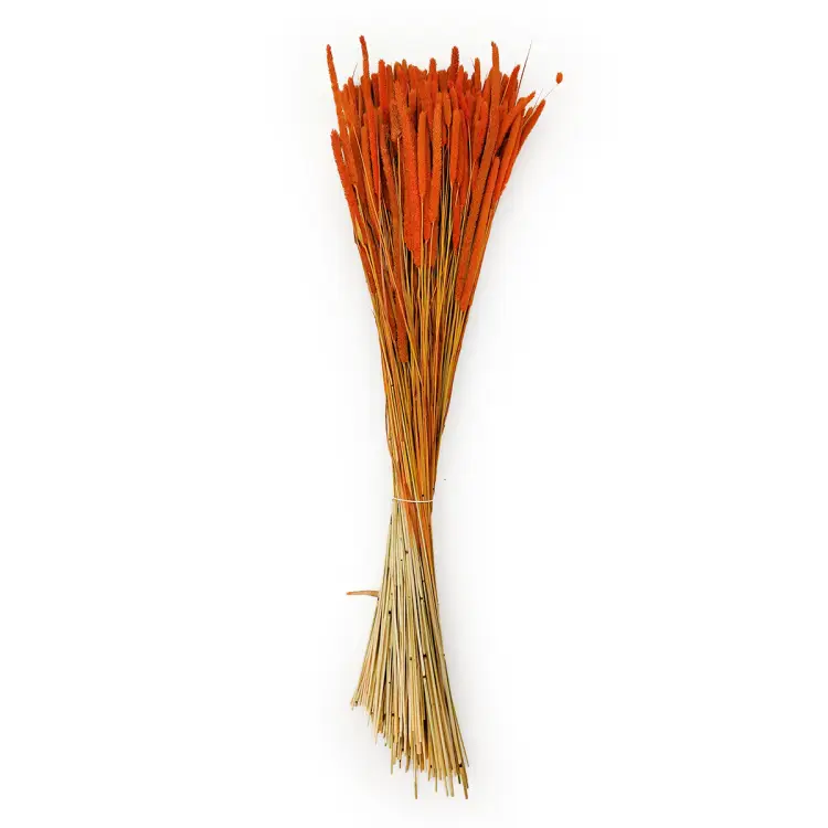 Tymotka trawa suszona pomaranczowa cala.png