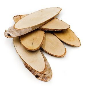 Tranches de bois de bouleau