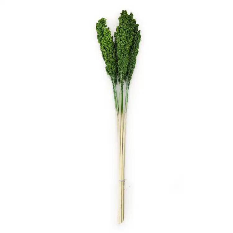 Sorgo Zielone cale.png