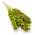 Sorgo Seledynowe okladka.png