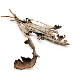 Natraj Grand – Bois de Cerf – Naturel 5 pcs