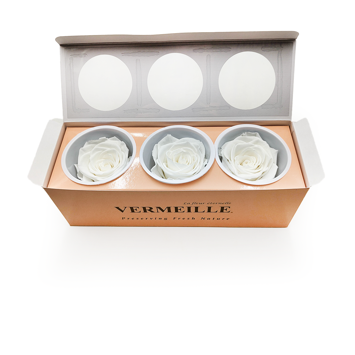 Rose Stabilisée – Ivoire – XL – 3 pièces