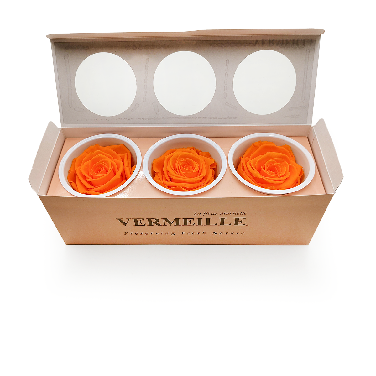Rose Stabilisée – Orange – XL – 3 pièces