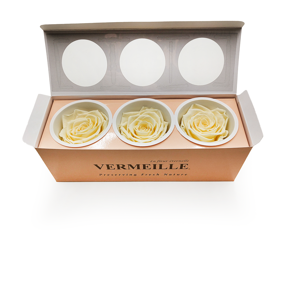 Rose Stabilisée – Jaune Pastel – XL – 3 pièces