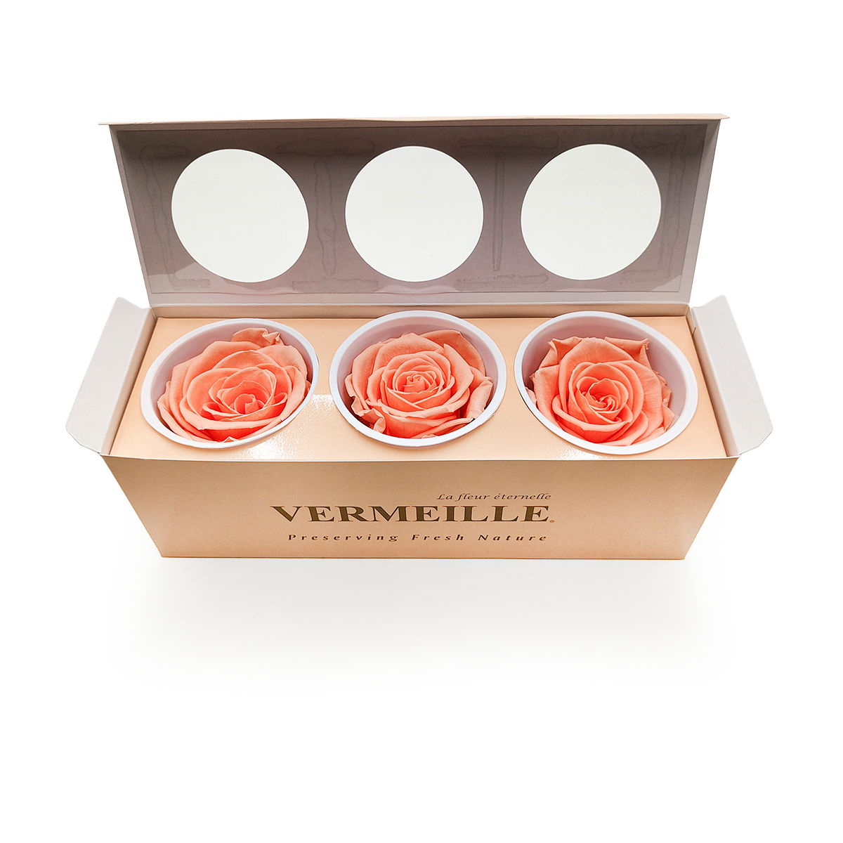 Rose Stabilisée – Pêche – XL – 3 pièces