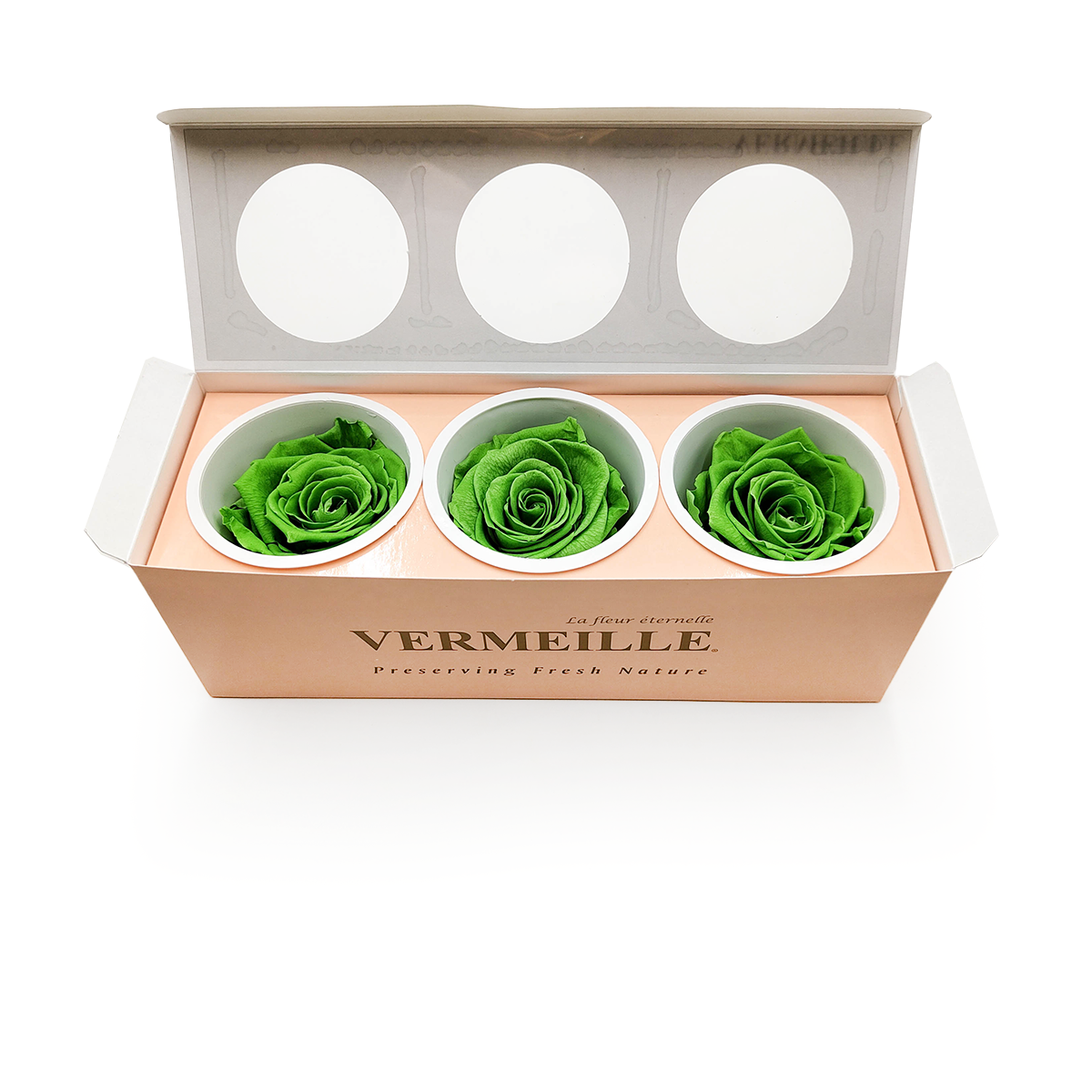 Rose Stabilisée – Prairie Green – XL – 3 pièces