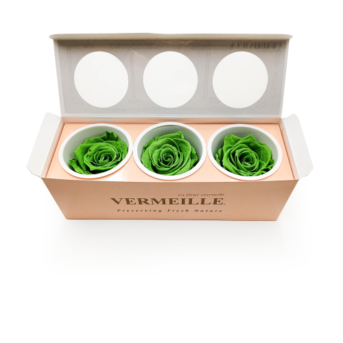 Róża Stabilizowana Prairie green pud otw.png