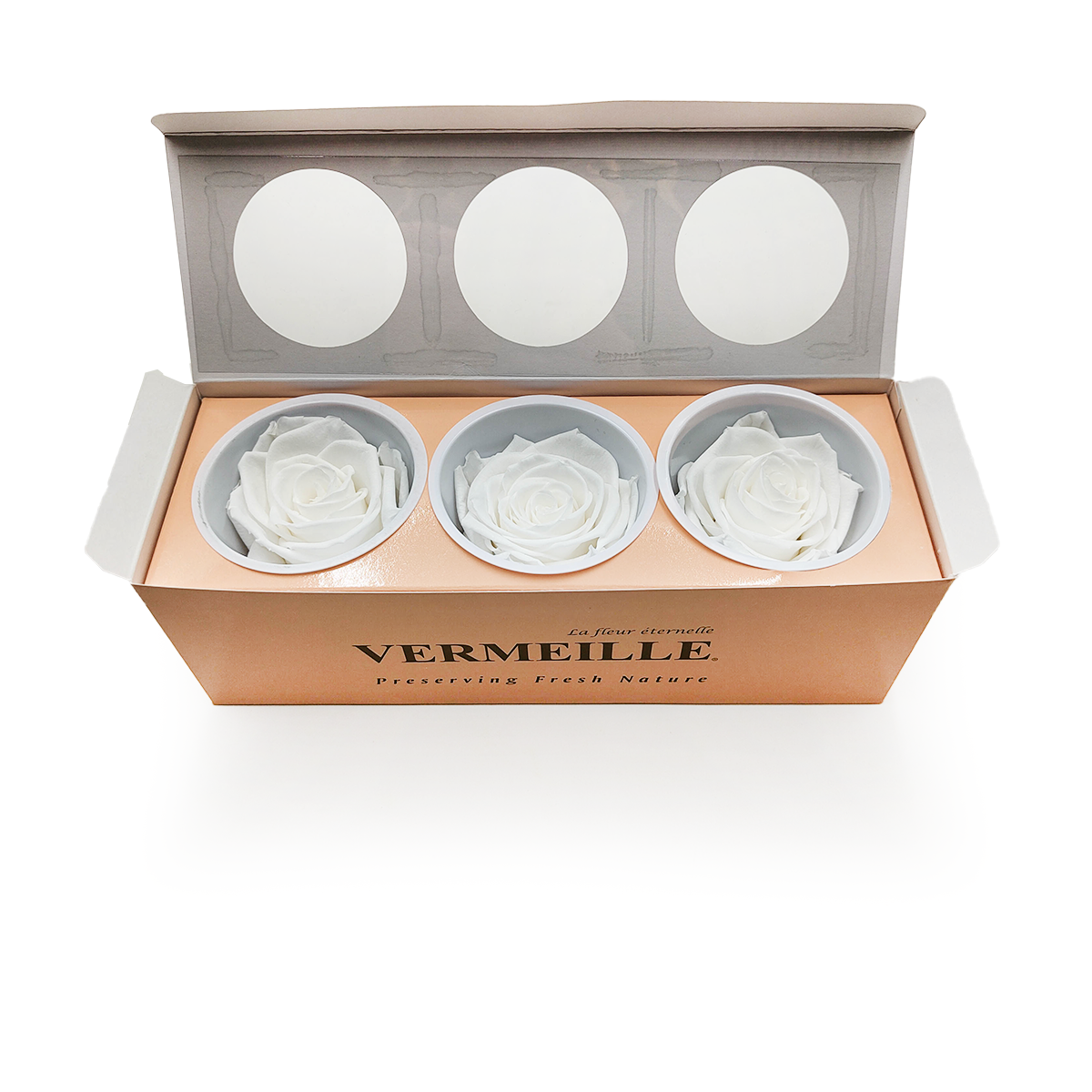 Rose Stabilisée – Princess White – XL – 3 pièces