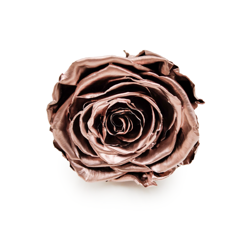 Róża Stabilizowana Rose Gold okladka.png