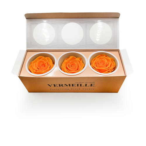 Róża Stabilizowana Saffron Yellow pud otw.png