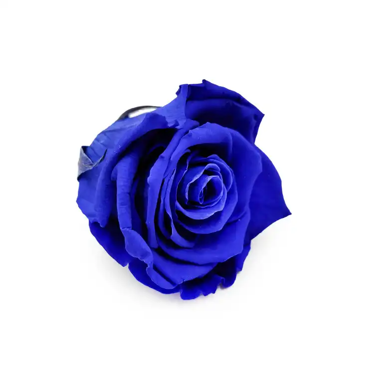 Róża Stabilizowana Sapphire Blue skos.png