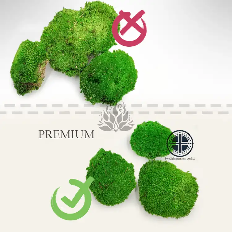 PREMIUM BALL MOSS.png