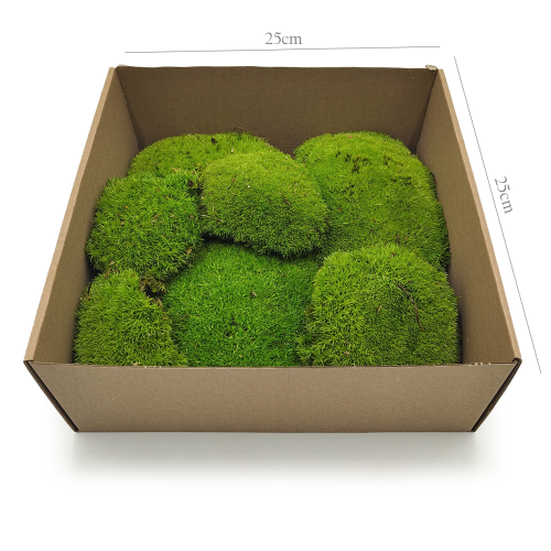 Poduszka Szwedzka Premium Jasna Zieleń 100.png