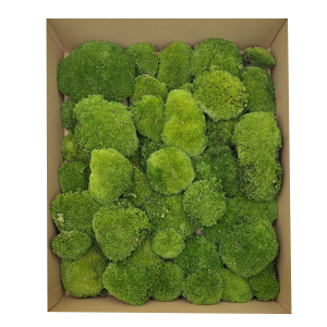 Poduszka Szwedzka Premium Ciemna Zieleń Duże Opakoanie.png