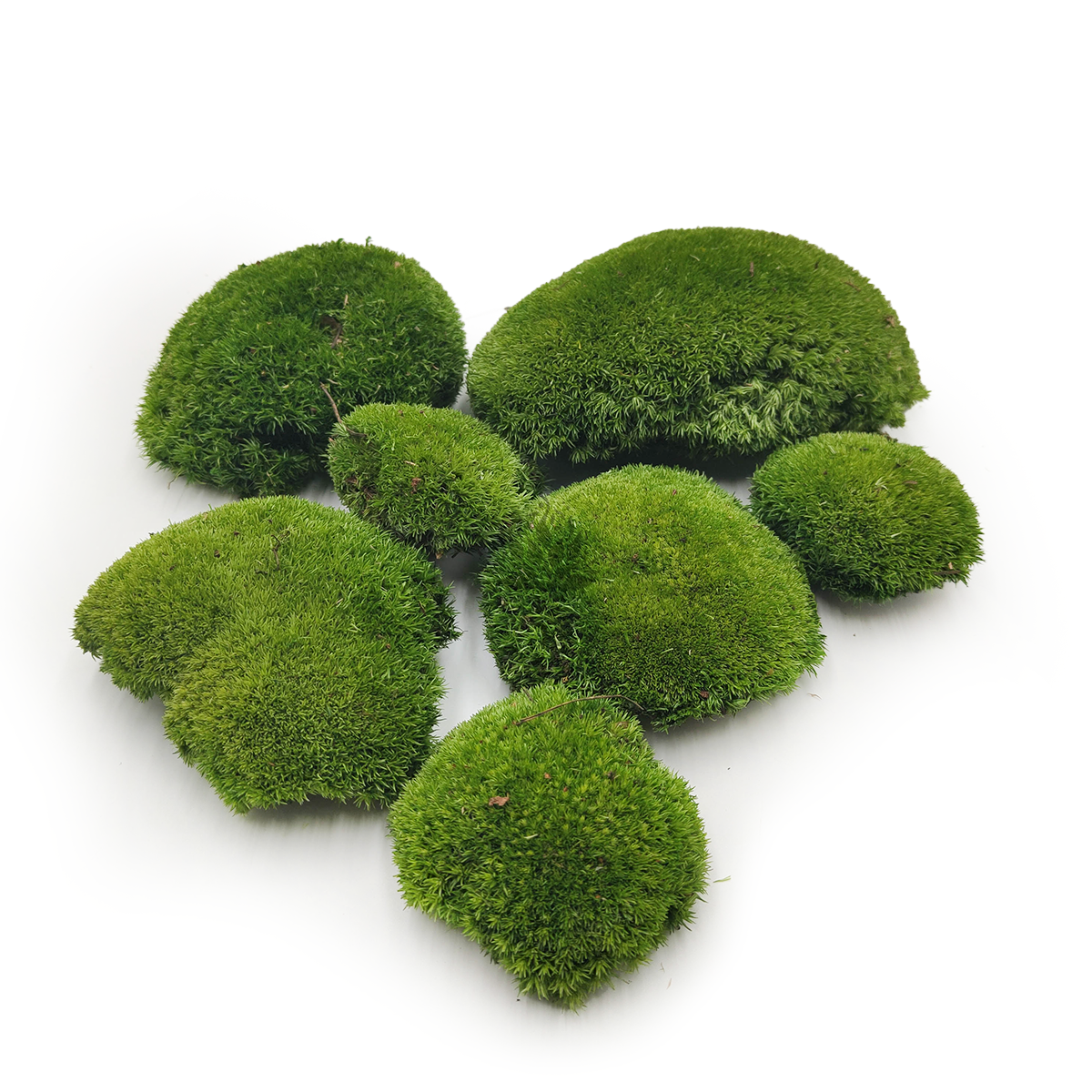 Mousse boule – Vert Foncé Naturel – 0,062m² (40x15cm) – Suède