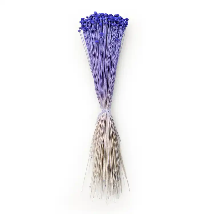 Amarelino amarelinho fioletowe.png