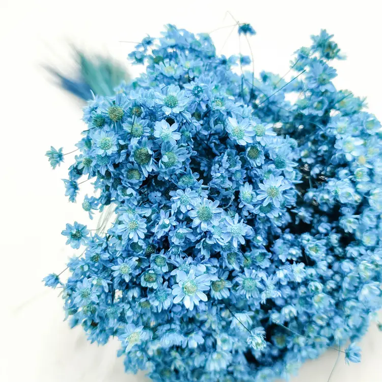 Gliksja glixia suszona Niebieska 50g 4.png