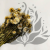 Helichrysum naturalne suszona kocanka Granvia zbliz.png