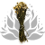 Helichrysum naturalne suszona kocanka Granvia.png