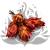 Protea Repens protea suszona czerwona okl.png