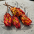 Protea Repens protea suszona czerwona 1.png
