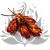 Protea Repens protea suszona czerwona 2.png