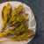 protea11.png