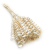 Cane Spring okl.png