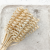 Cane Spring zbl2.png