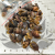 Bakuli Suszone Naturalne 100g zbl.png