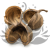 Budda Nut Natural okl.png