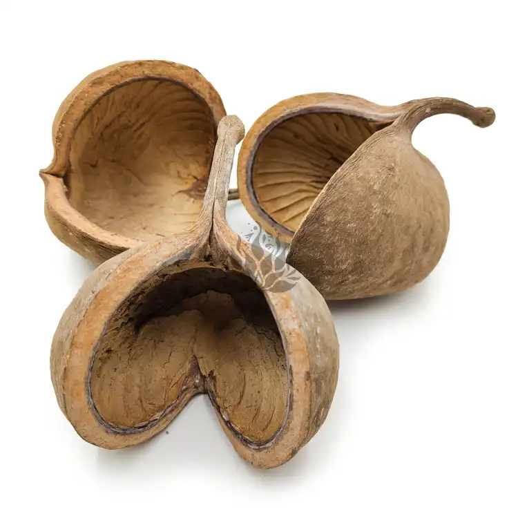 Budda Nut Natural okl.png