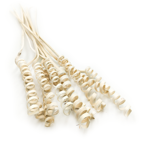 Cane Spring okl11.png