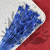 Nigella Orientalis czarnuszka orientalna niebieska 1.png