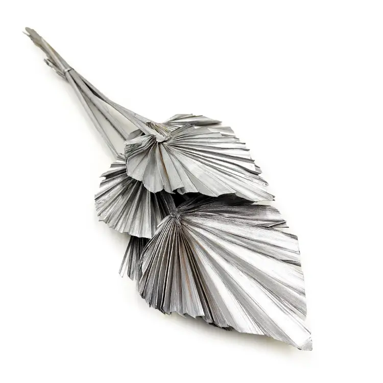 Palm Spear Silver Palma suszona srebrna okl.png