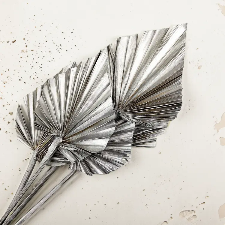 Palm Spear Silver Palma suszona srebrna1.png