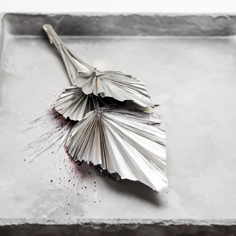Palm Spear Silver Palma suszona srebrna2.png