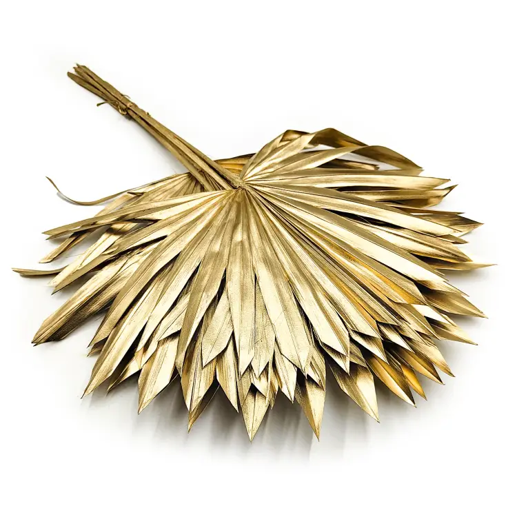 Palm SUN Gold Palma suszona złota okl.png