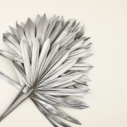 Palm SUN Silver Palma suszona srebrna.png