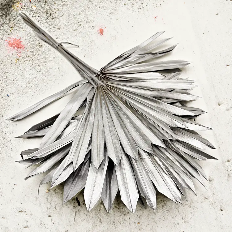 Palm SUN Silver Palma suszona srebrna2.png