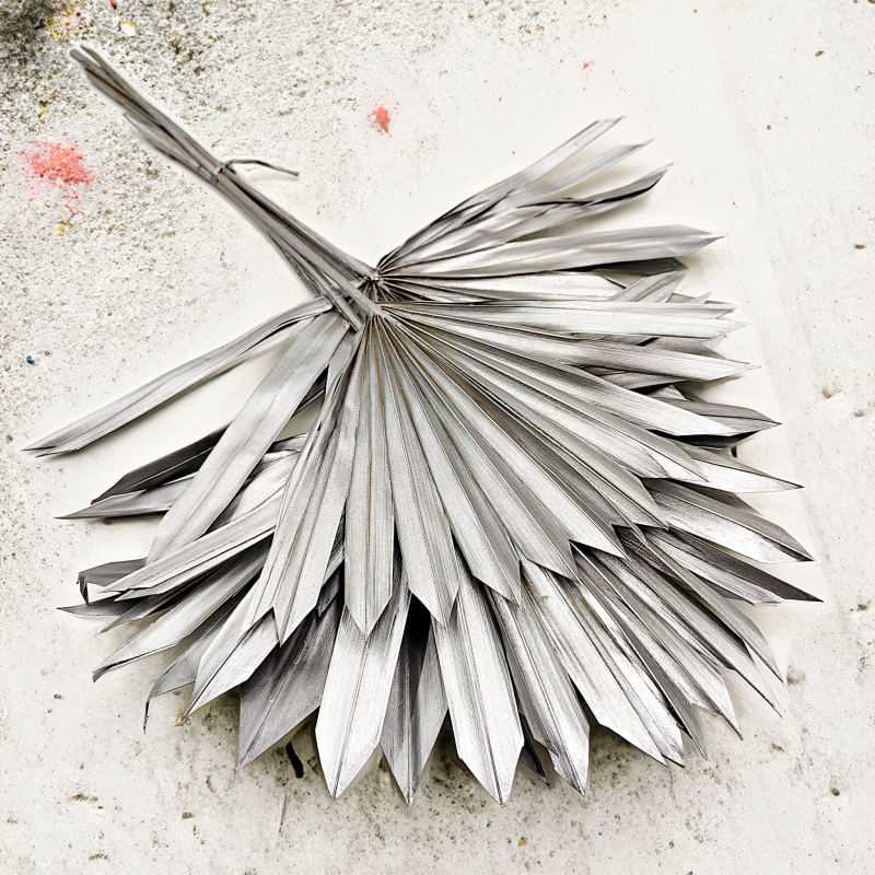 Palm SUN Silver Palma suszona srebrna2.png