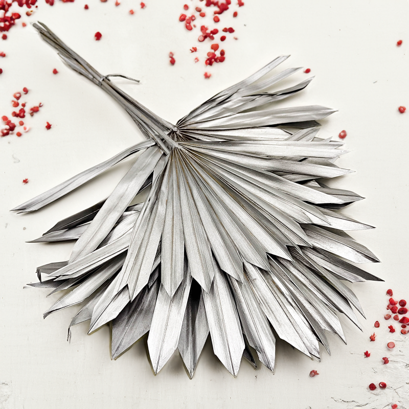 Palm SUN Silver Palma suszona srebrna4.png