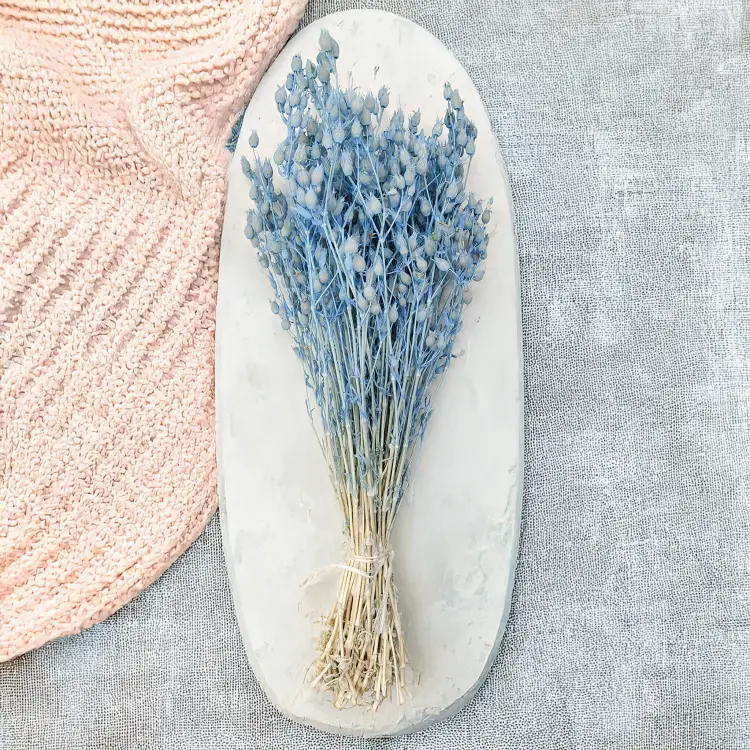 Silene lepnica rozdęta suszone niebieskie2.png