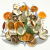 Suszone owoce MIX potpourri 3.png