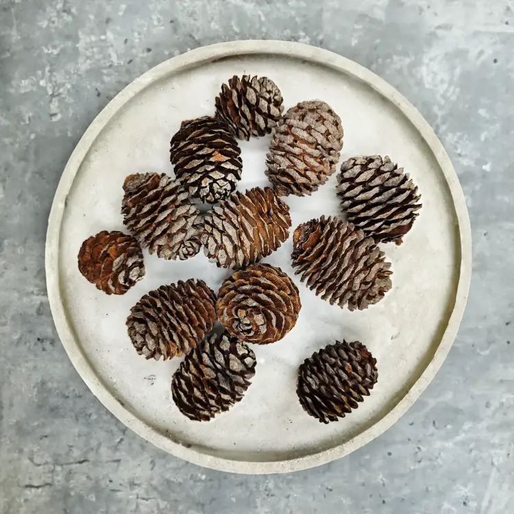 Muirii 100g paczka 1.png