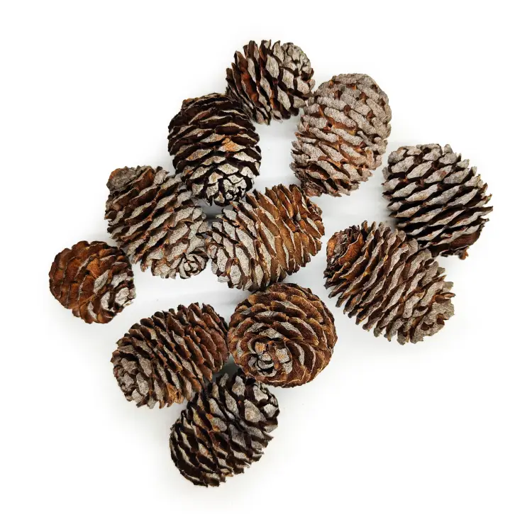 Muirii 100g paczka okl.png