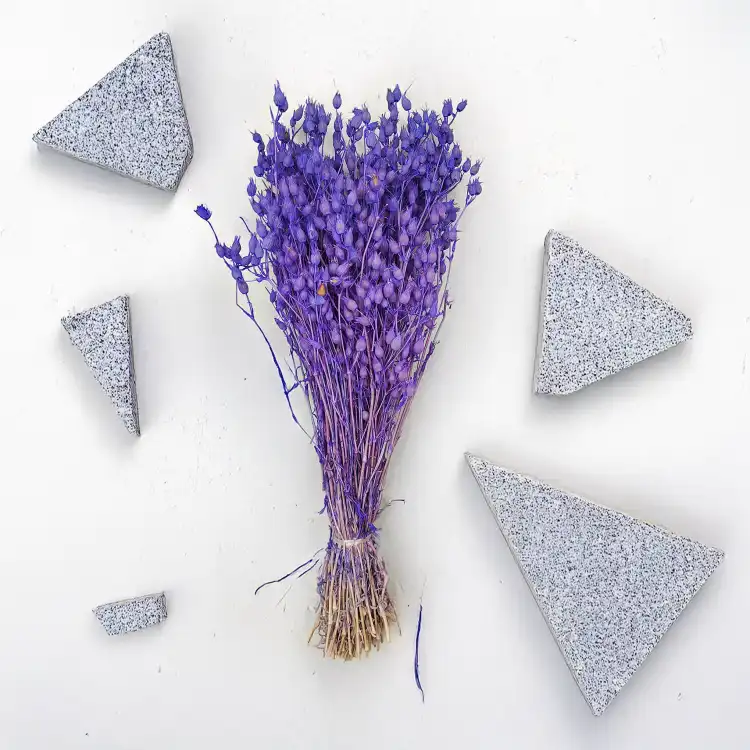 Silene Lilac suszone lepnica rozdęta zbl2.png