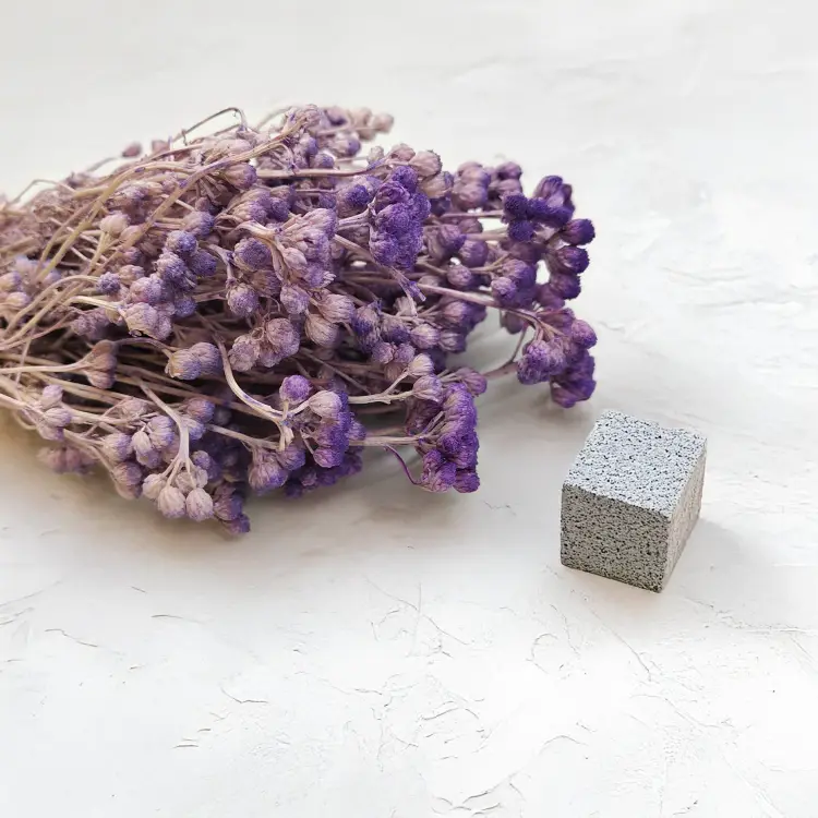 Lonas Lilac suszony kwiat.png