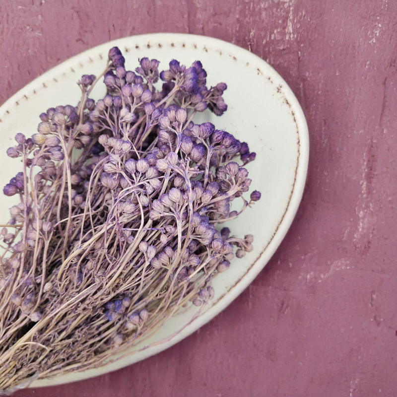 Lonas Lilac suszony kwiat2.png